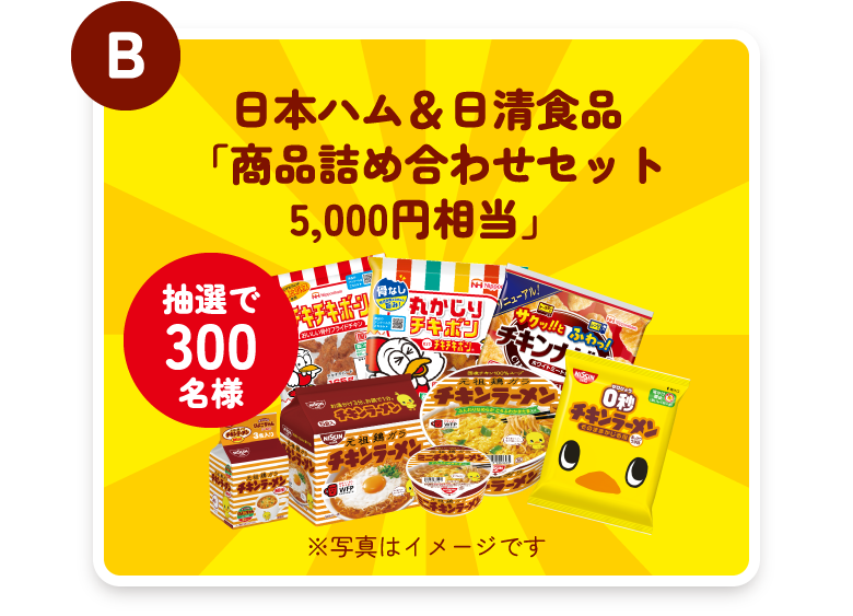 (B)日本ハム＆日清食品「商品詰め合わせセット5,000円相当」
